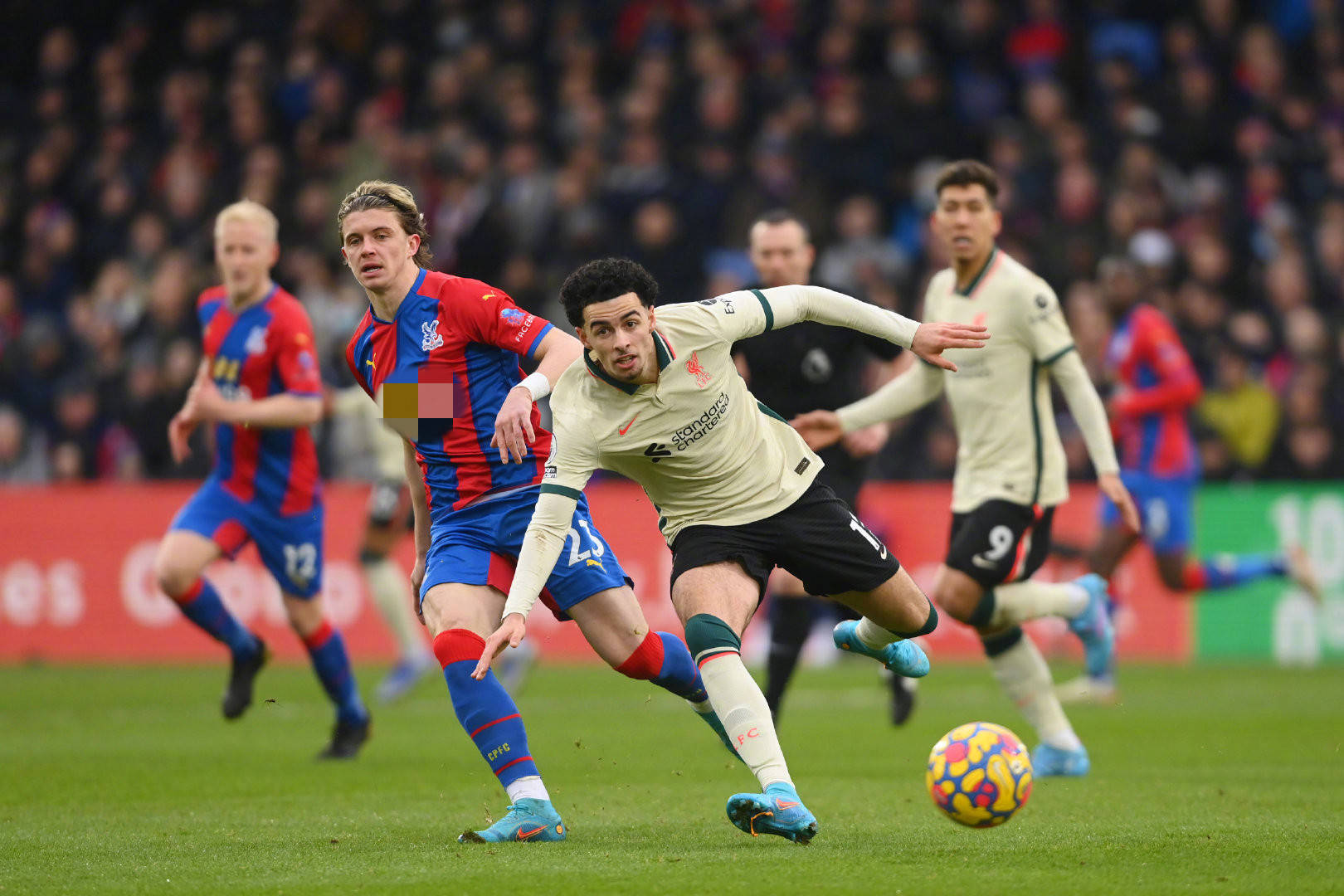 由于许可问 由于许可问