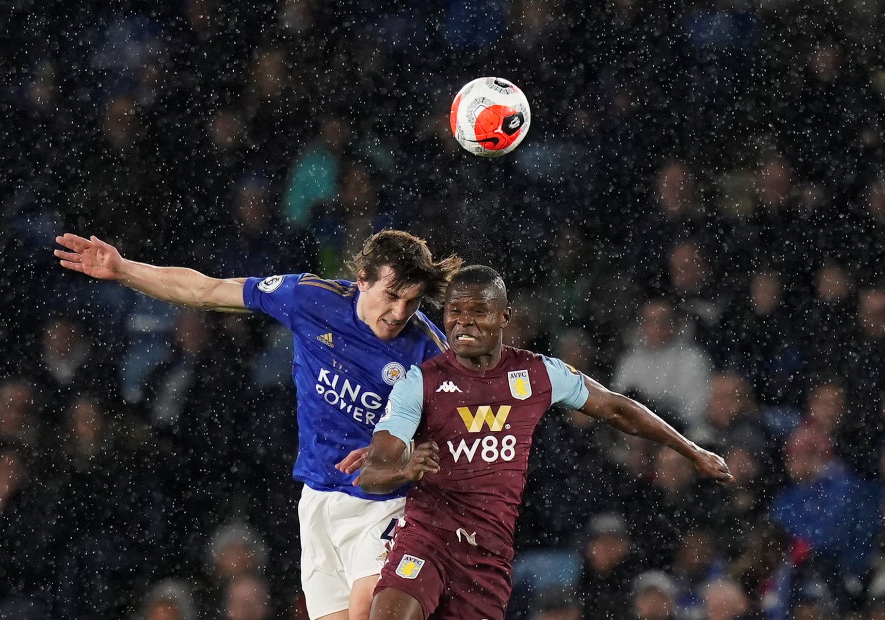 仅展示了他 仅展示了他