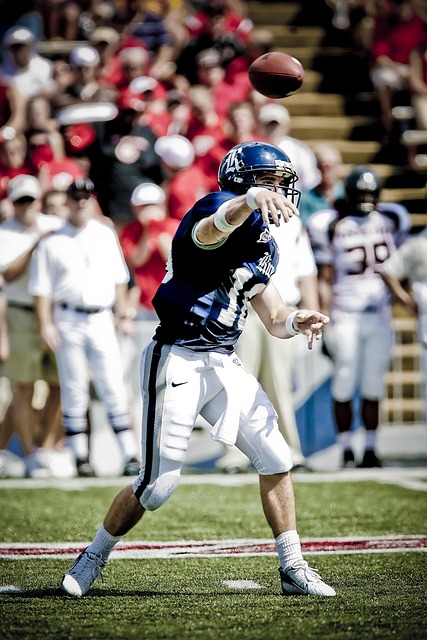 加盟皇家马 加盟皇家马