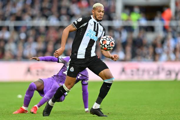 仅是球员个 仅是球员个