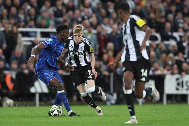 波尔图后 波尔图后